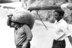 Trillando: Julio Eraso con la carga de trigo, animando Gerardo Pérez de Albeniz